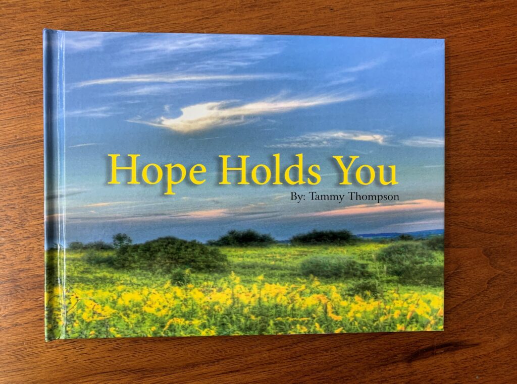Hope Holds You hardback book cover